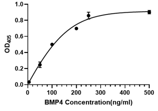 Recombinant Human BMP-4 Protein,His Tag